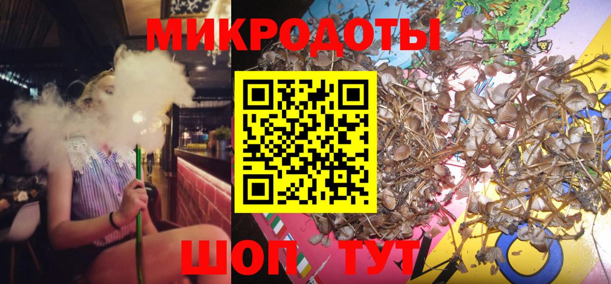 Вятские Поляны  Псилоцибиновые грибы Cubensis  Вход с VPN  Галлюциногенные грибы прущие грибы 